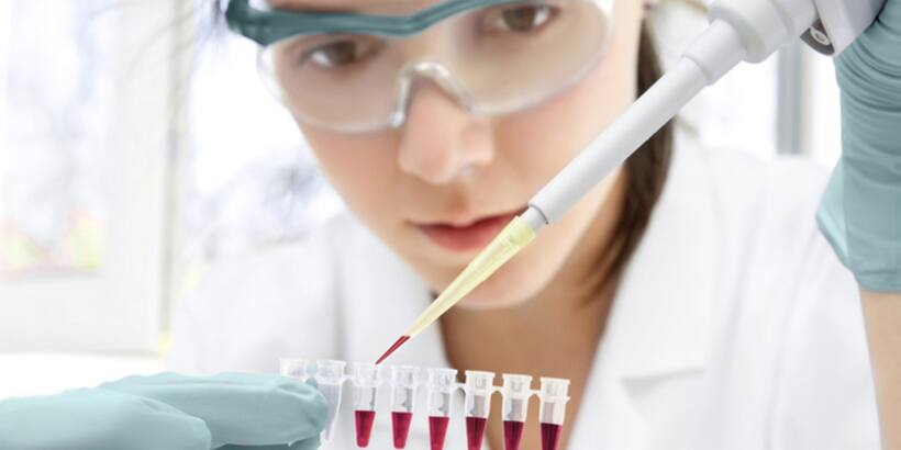 Who is a Bioinformatics Scientist?